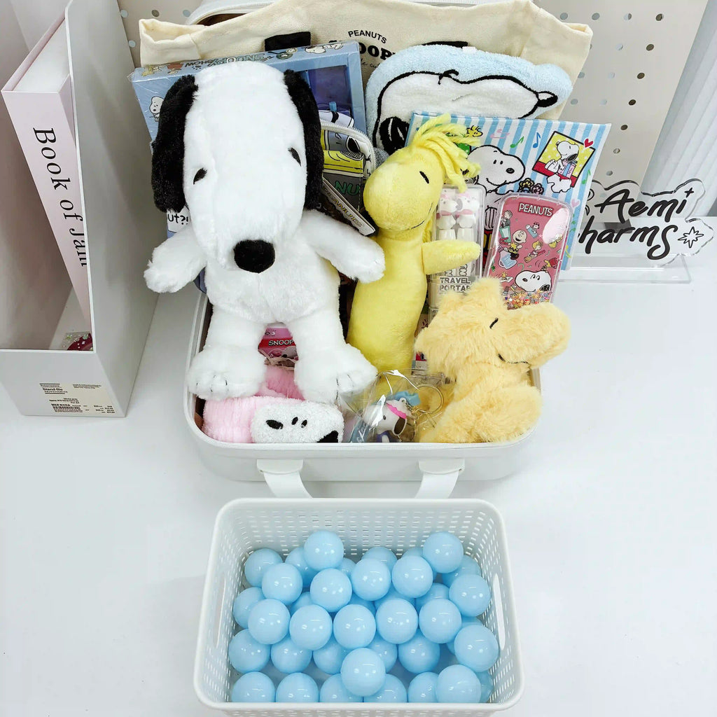 SN 14-Inch Suitcase Mystery Gift Box